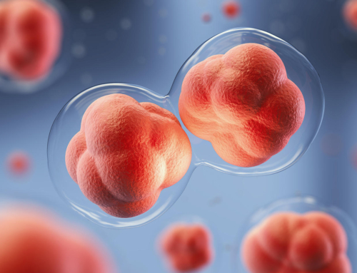 About Stem Cells – Everything You Need to Know