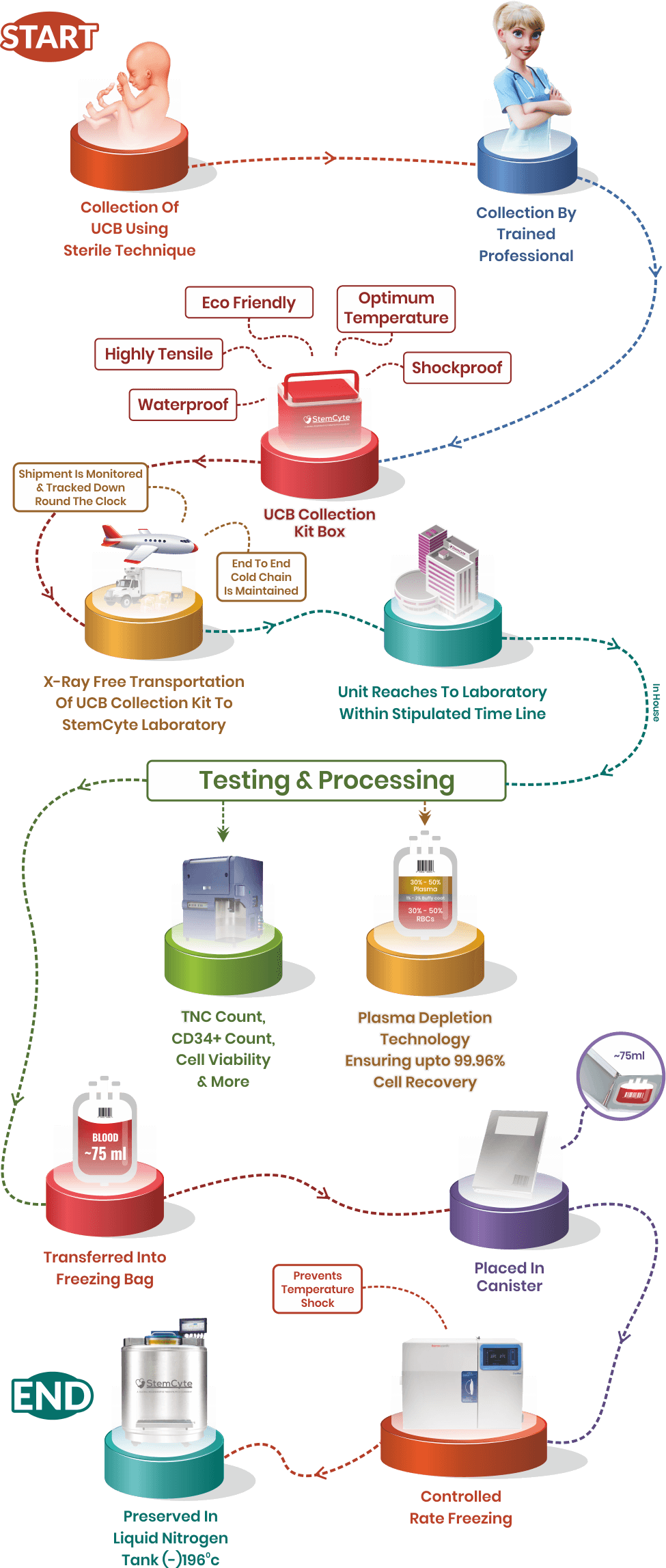 Cord Blood Processing, Preservation and Collection Stemcyte India
