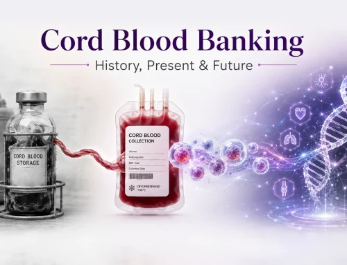 Cord Blood Stem Cell Banking: History, Present & Future Explained